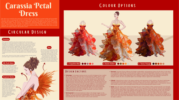 School Captains  Banner Photo