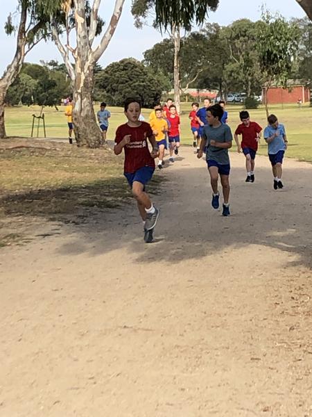 Curriculum News Banner Photo