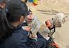 St Brigid's News and Events Banner Photo