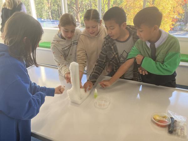 Mad About Science Incursion Banner Photo