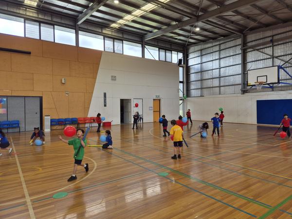 Sport and P.E. Banner Photo