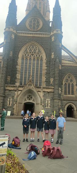 St Patrick's Day Mass Banner Photo
