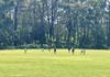 PE & Sport Banner Photo