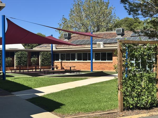 Wellbeing Banner Photo