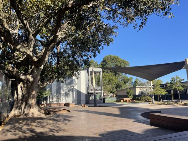 What to expect this term Banner Photo