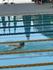 State Swimming Championships Banner Photo
