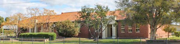 SCHOOL NEWS: Banner Photo