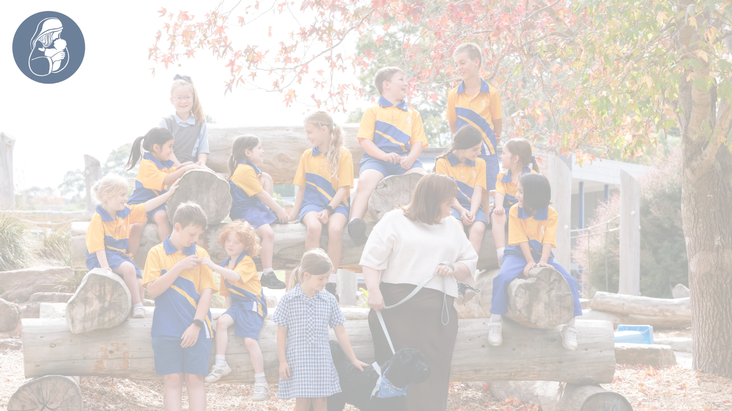 Principal's News Banner Photo