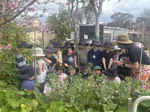 Kitchen Garden program Update Banner Photo