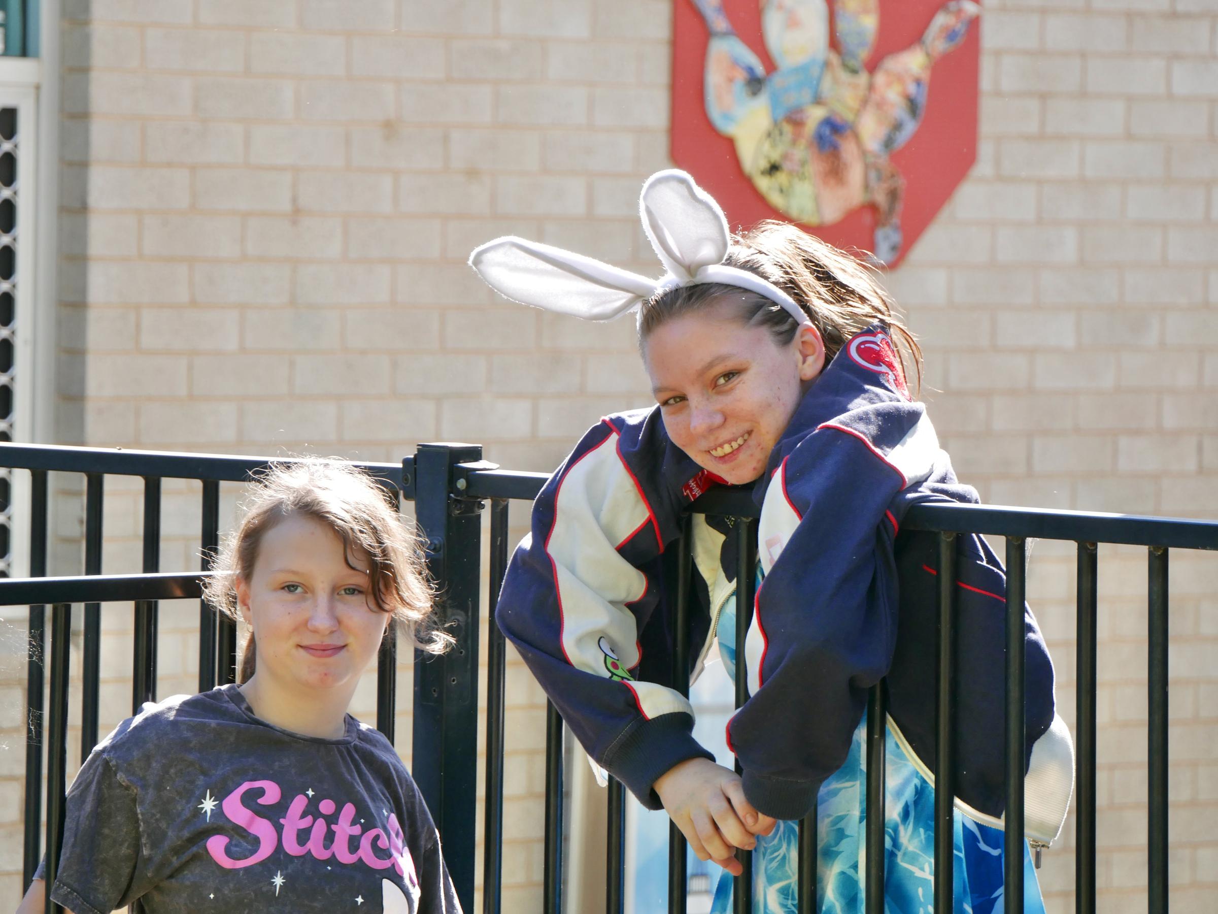 Banner Photo