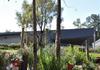 High Ability Program Banner Photo