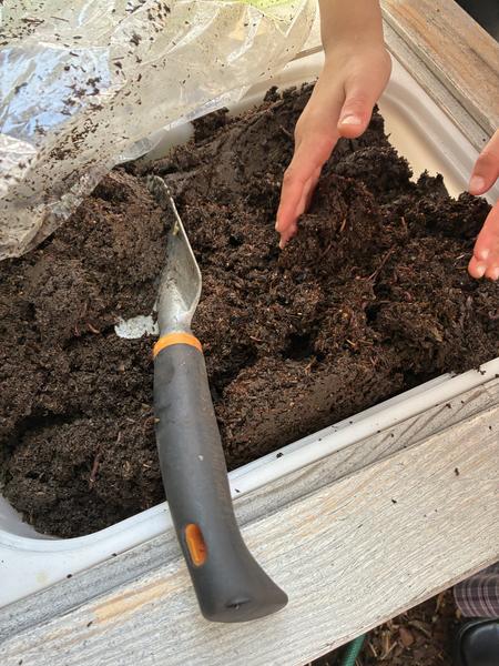 Sustainability & Gardening Club- Ms Belinda Banner Photo