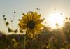 Learning & Growth - Melissa Harford Banner Photo