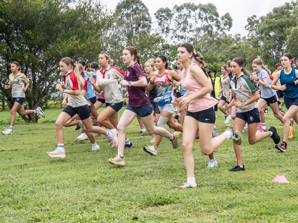 Cross Country Banner Photo