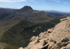 ENVIRONMENT Banner Photo