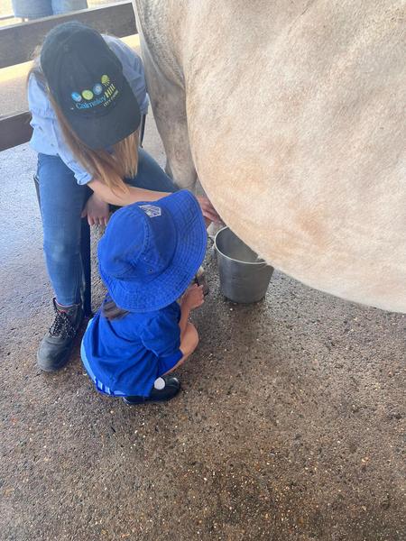 Kindergarten Calmsley Hill Farm Excursion Banner Photo