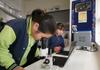 STEM News Banner Photo