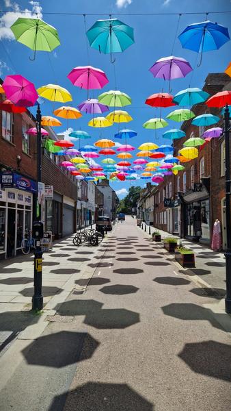 Celebrating Diversity         & Belonging Banner Photo