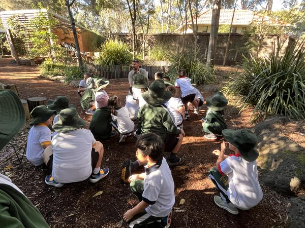  1/2B's Term 2 Learning Highlights Banner Photo