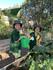 Kitchen Garden Banner Photo
