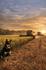 Ardlethan Agricultural Show Banner Photo