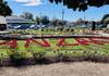 ANZAC Day 2026 Banner Photo