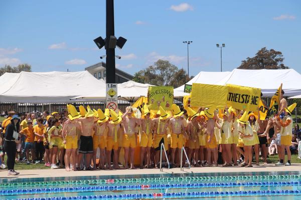 Carnivals!   Banner Photo