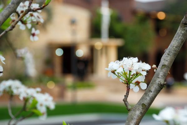 College Notices Banner Photo