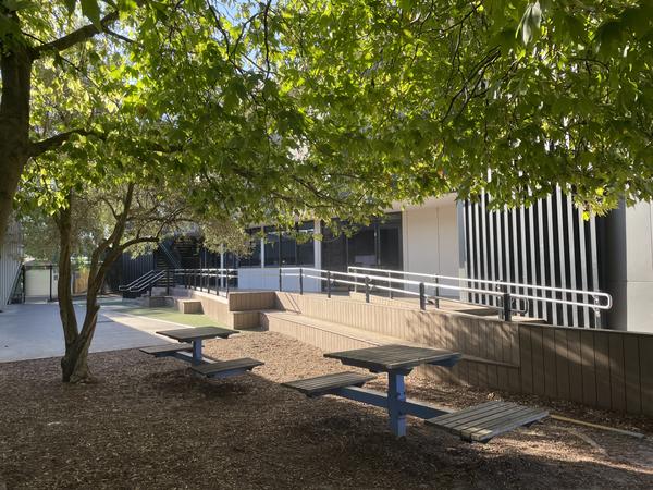 What to expect this term Banner Photo