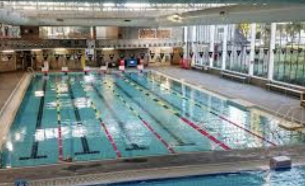 2026 Swimming Te  Banner Photo