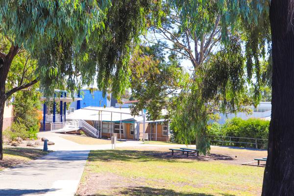 Community News and Advertisements Banner Photo