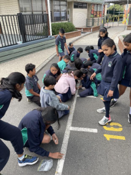 Level 5 Newsletter Banner Photo