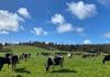 Agriculture Banner Photo