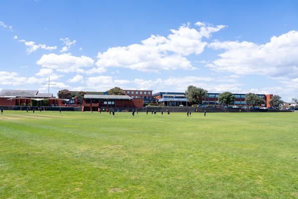 Important College Information Banner Photo