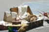 Lost Property Banner Photo