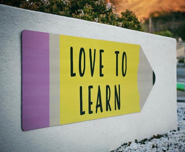 Week 2 Home learning Snapshot Grade One Banner Photo