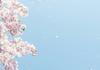 Japanese News Banner Photo