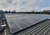 Sustainability at Sunbury College Banner Photo