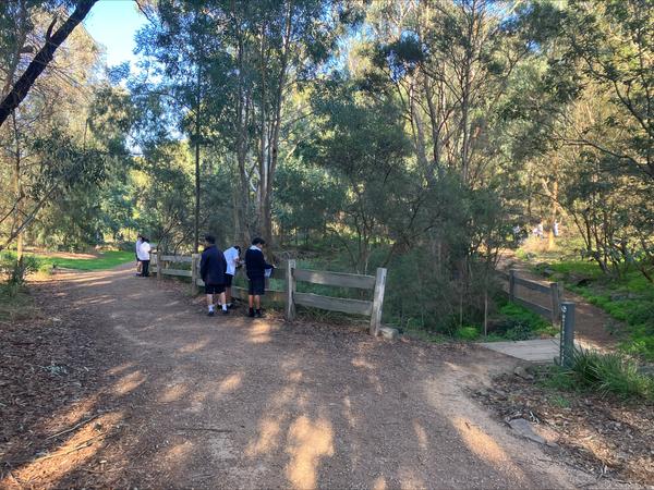 Year 7 News   Banner Photo