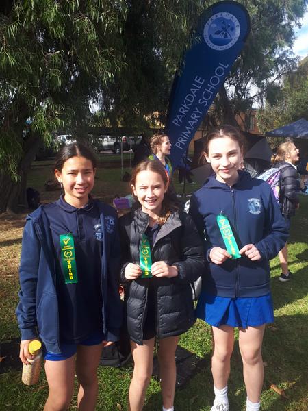 Welcome to Term 4 Banner Photo