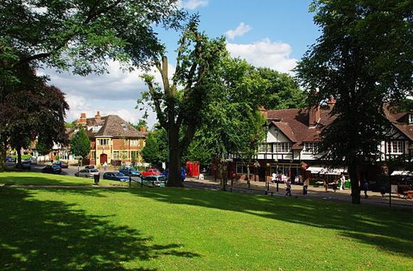 Editorial Banner Photo