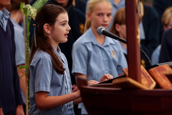 Around The Primary Banner Photo