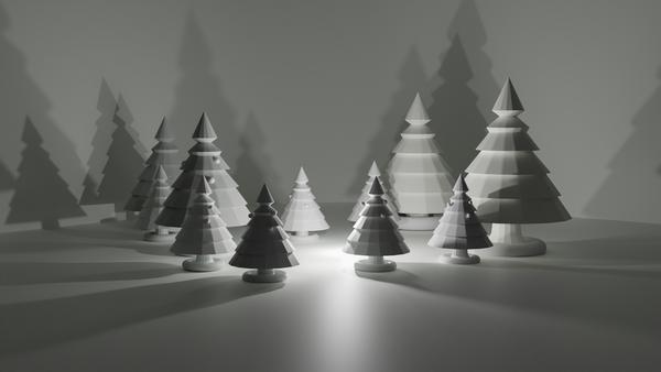 Donations - Christmas Raffle Banner Photo