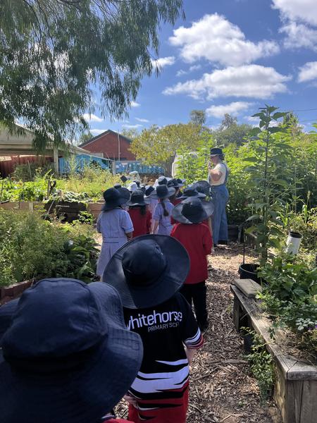 Assistant Principal's Report Banner Photo