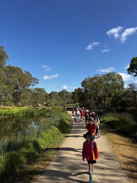 Year 3 Spotlight Banner Photo