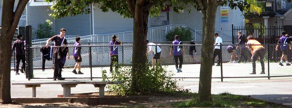 A day in the life... Banner Photo