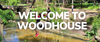 Year 5 & 6 Woodside Camp Banner Photo