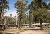 Year 5/6 Bayview Adventure Camp Banner Photo