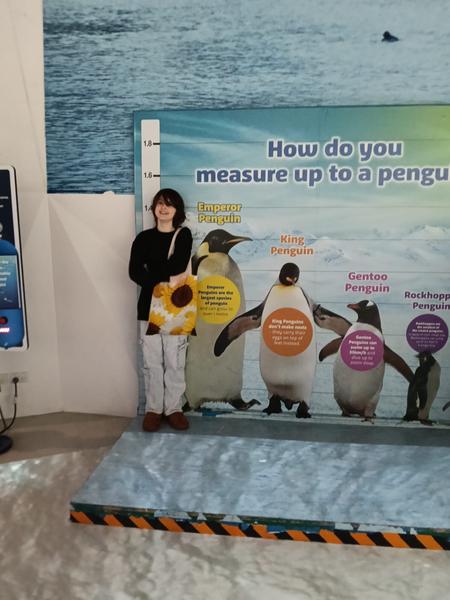 Student Excursion Banner Photo