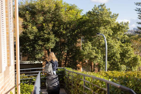 What's happening in Boarding?  Banner Photo